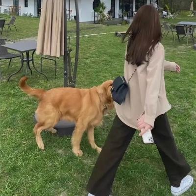 美国的儿子